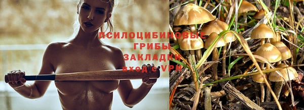 a pvp Новодвинск