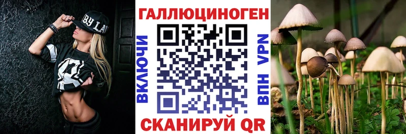 MEGA рабочий сайт  где купить   Агрыз  Галлюциногенные грибы MAGIC MUSHROOMS 