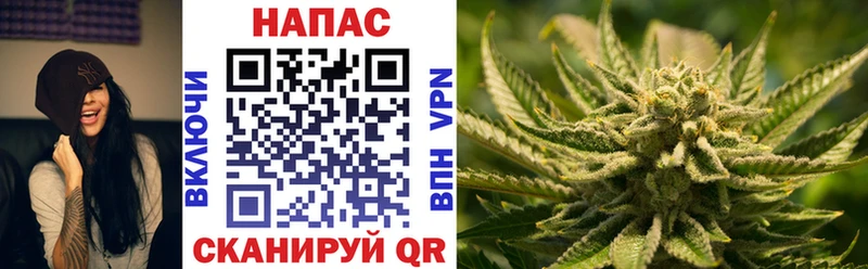 МАРИХУАНА SATIVA & INDICA  как найти закладки  Агрыз 